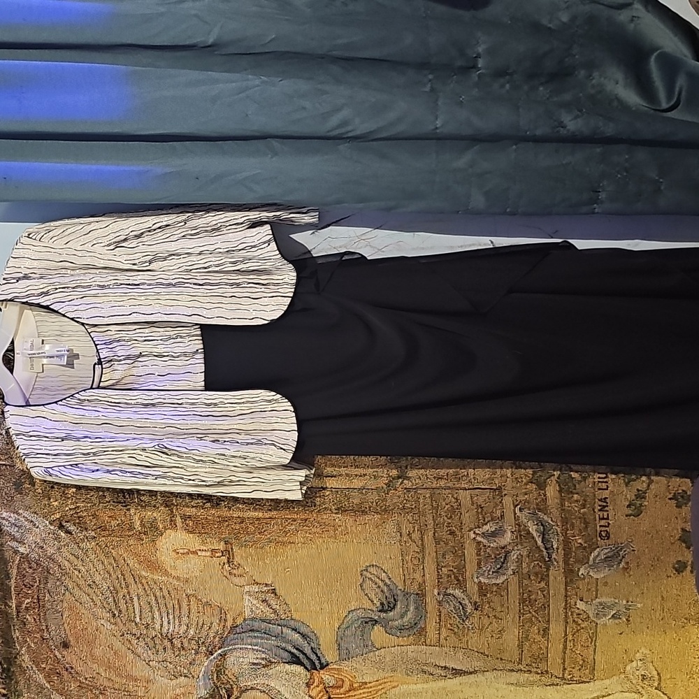 !!.                 Womens 18W  Elegant Black, White And Silver Gown
